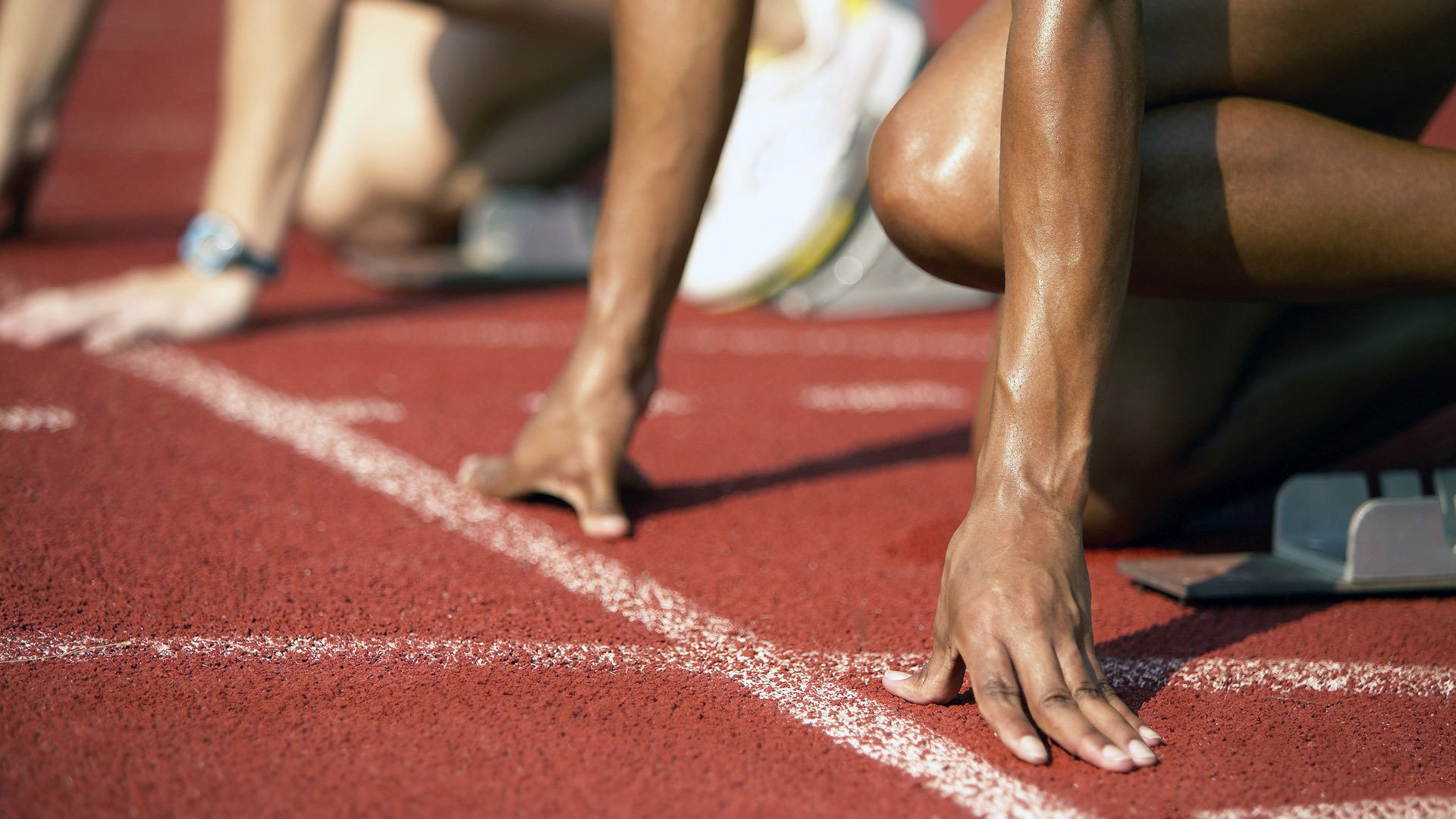 南非橄榄球的青训体系为世界橄榄球培养顶级球员,南非橄榄球冠军